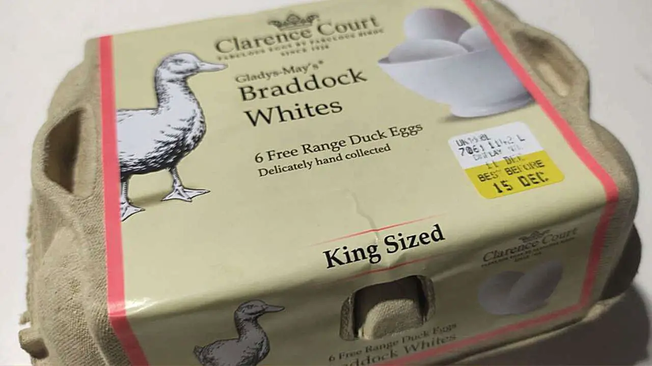 free range duck eggs