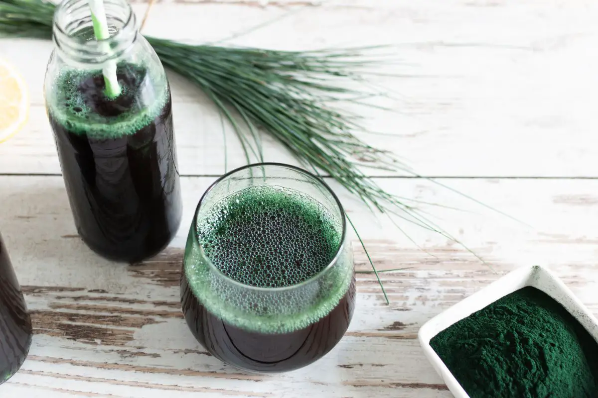 18 Best HighProtein Foods That Are Not Meat