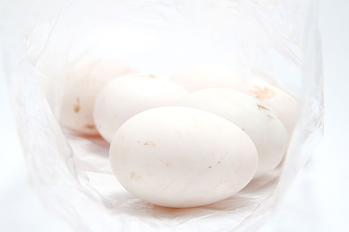 How To Boil Duck Eggs To Perfection (Boiling Times And Tips)