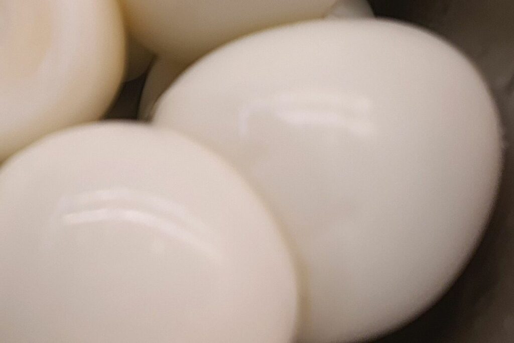 duck eggs storage