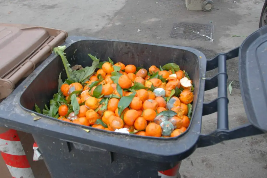 food thrown away