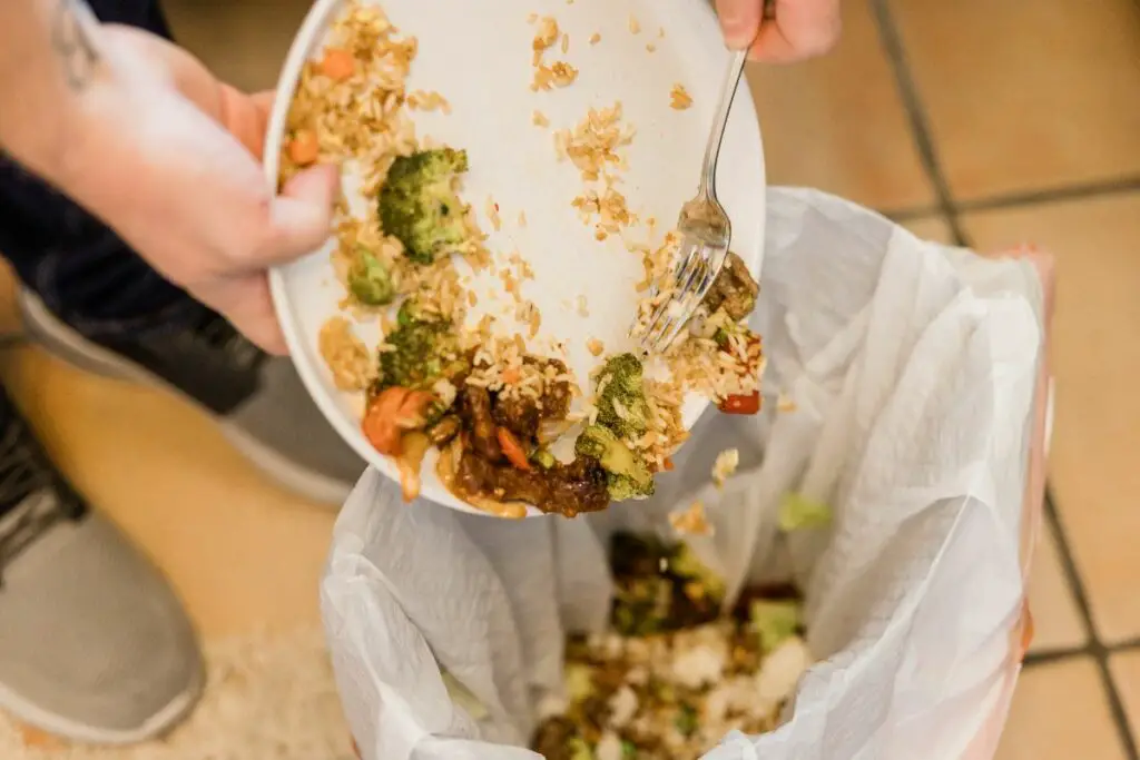 homemade meals thrown in the bin and wasted