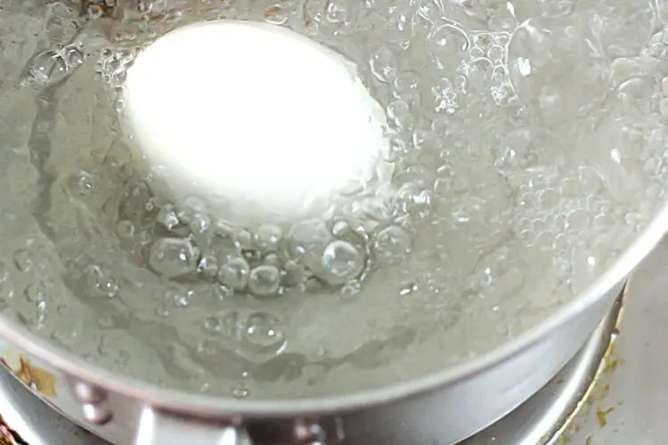 How To Boil Duck Eggs To Perfection (Boiling Times And Tips)