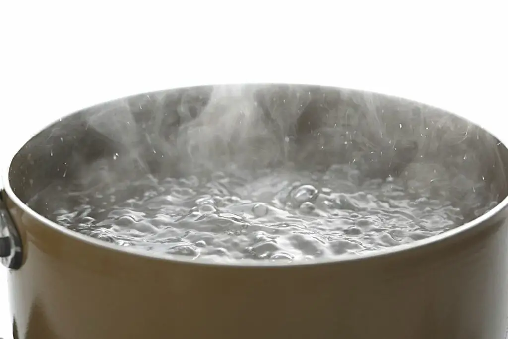 putting duck eggs in boiling water