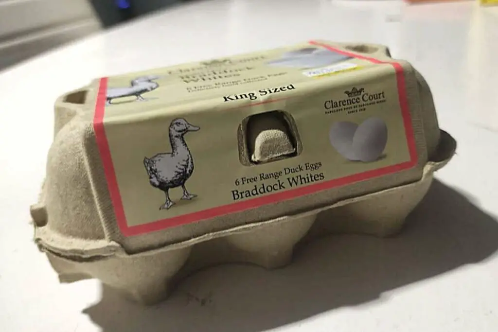 room temperature duck eggs