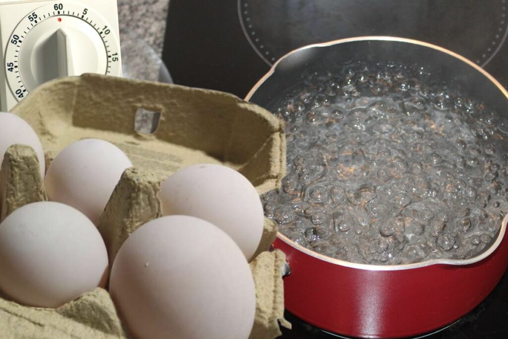 duck eggs, boiling water and egg timer 