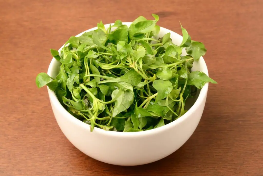 Watercress is a low oxalate vegetable