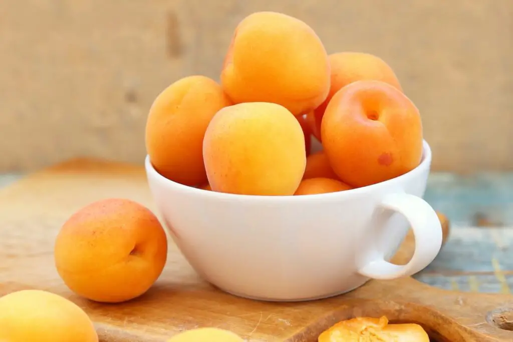 apricots in a bowl 