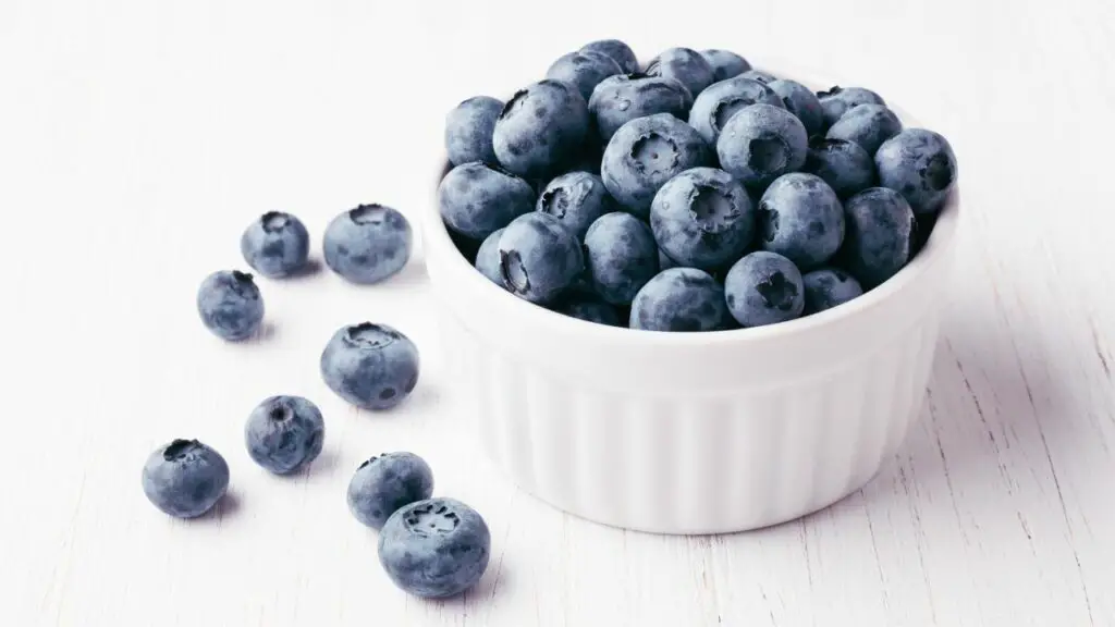 cup of blueberries 