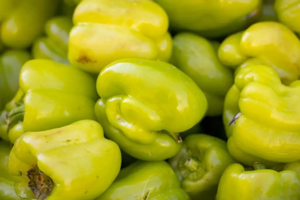 low-oxalate green bell peppers 