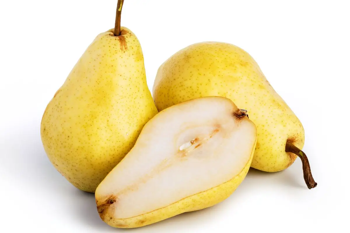 18 Low Oxalate Fruits List Of CrystalClear Choices