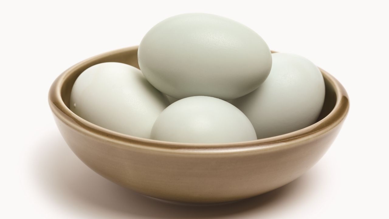 Can You Use Duck Eggs For Baking? (Pros And Cons You Should Know)