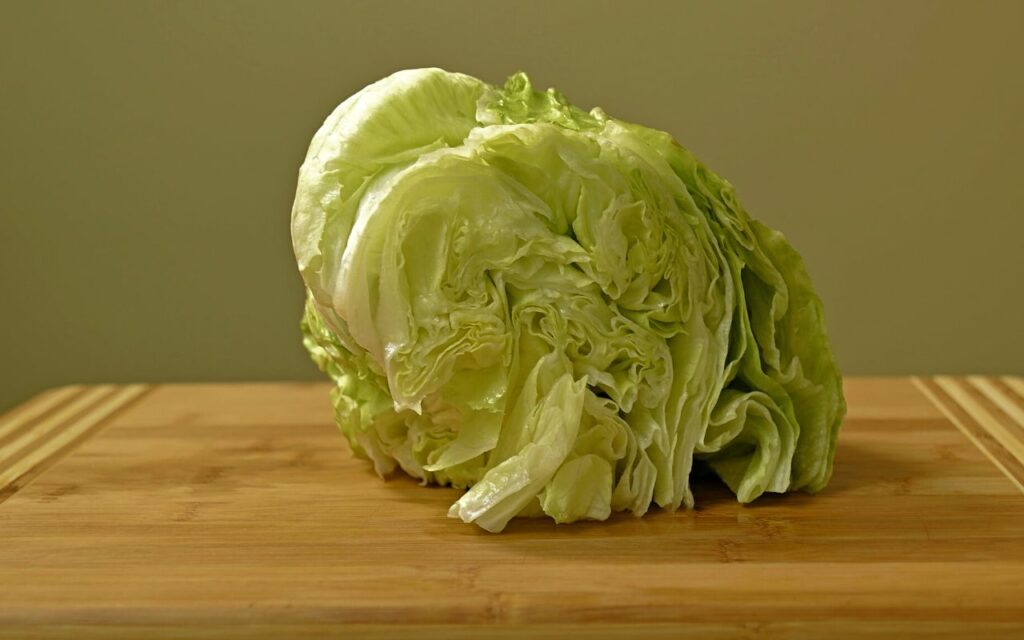 iceberg lettuce 