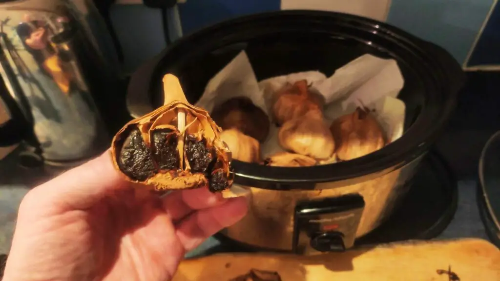 homemade black garlic