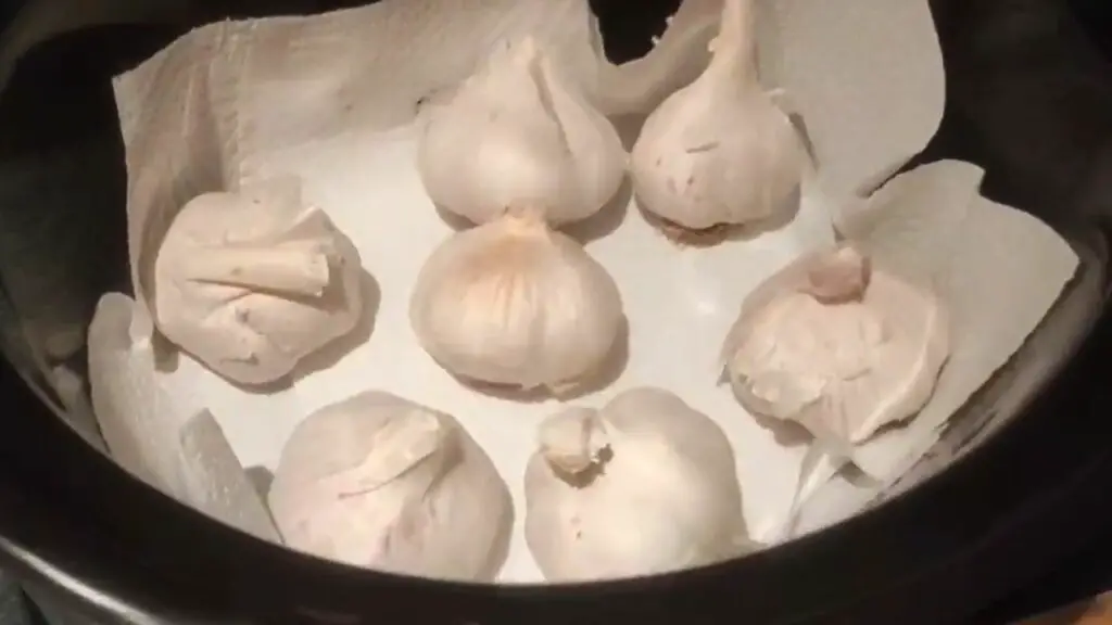 garlic bulbs in a slow cooker