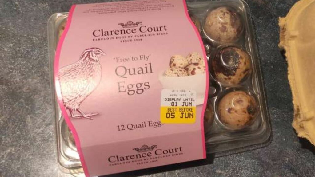free to fly quail eggs