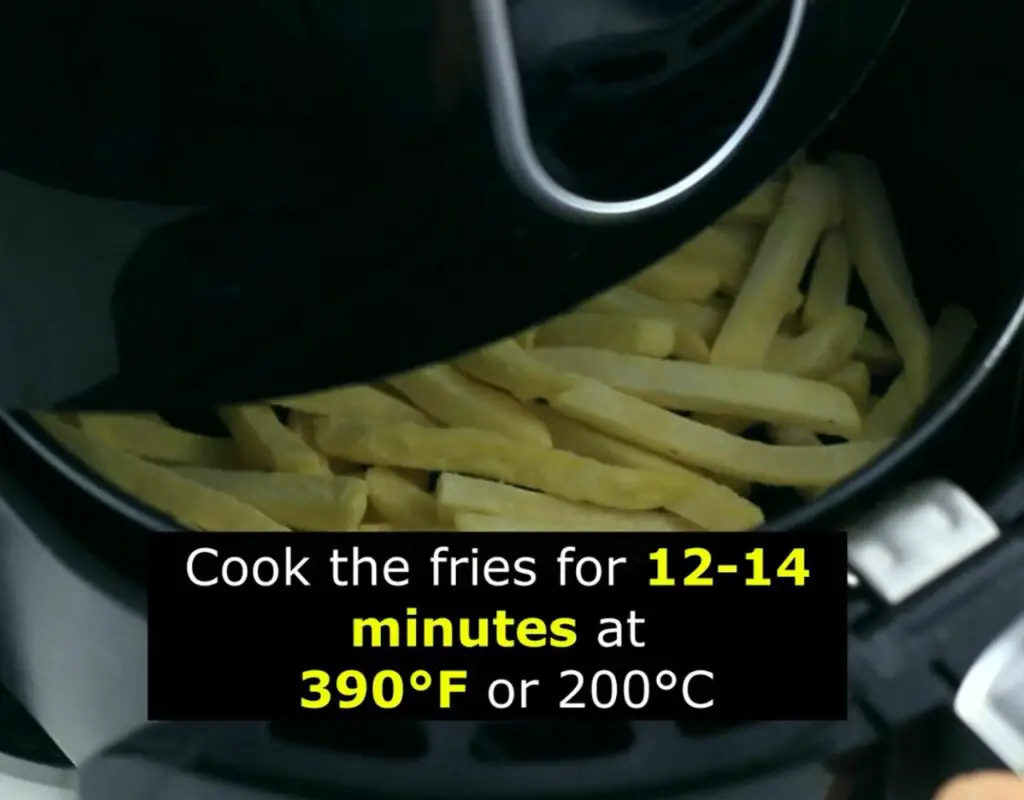 frozen fries in air fryer temp and time