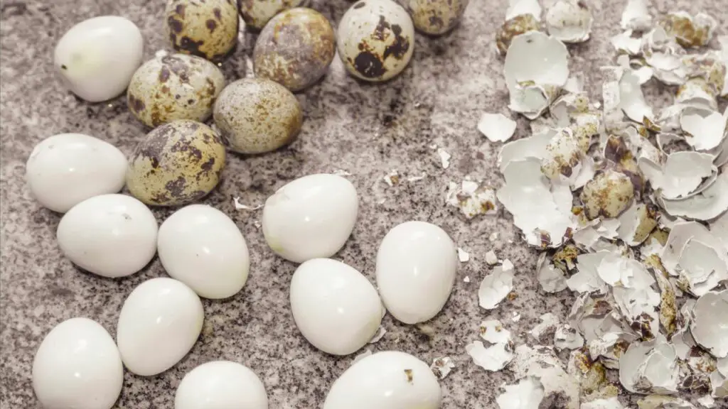 boiled quail eggs 