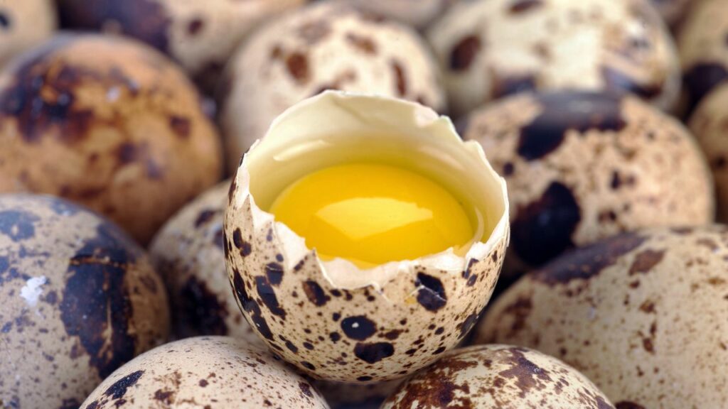 raw quail eggs