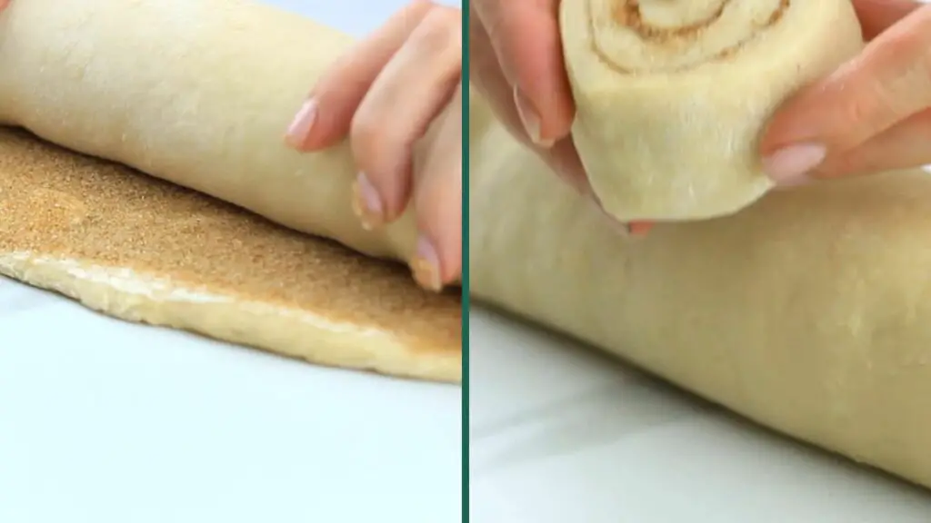 rolling the dough into a log and cutting it into equal pieces