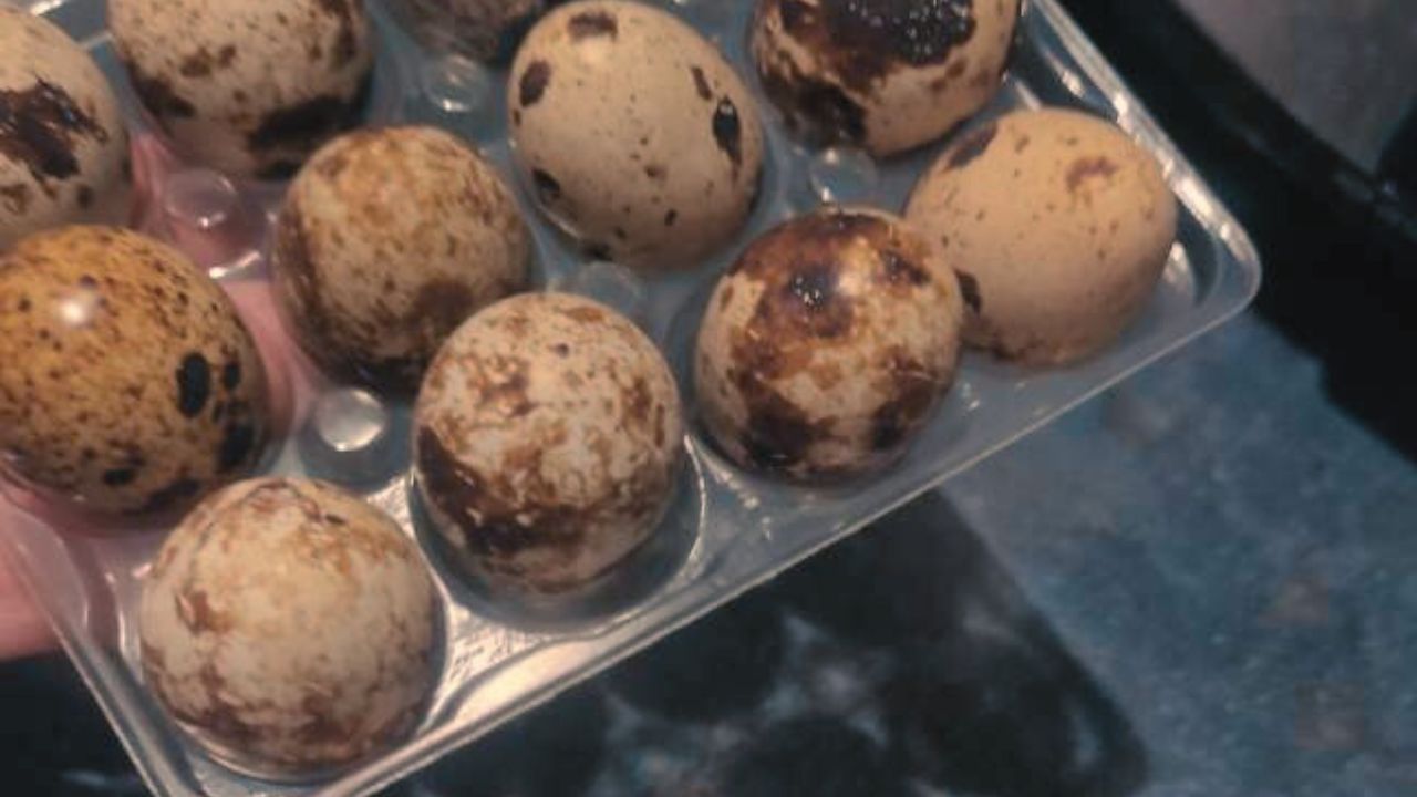 quail eggs from supermarket
