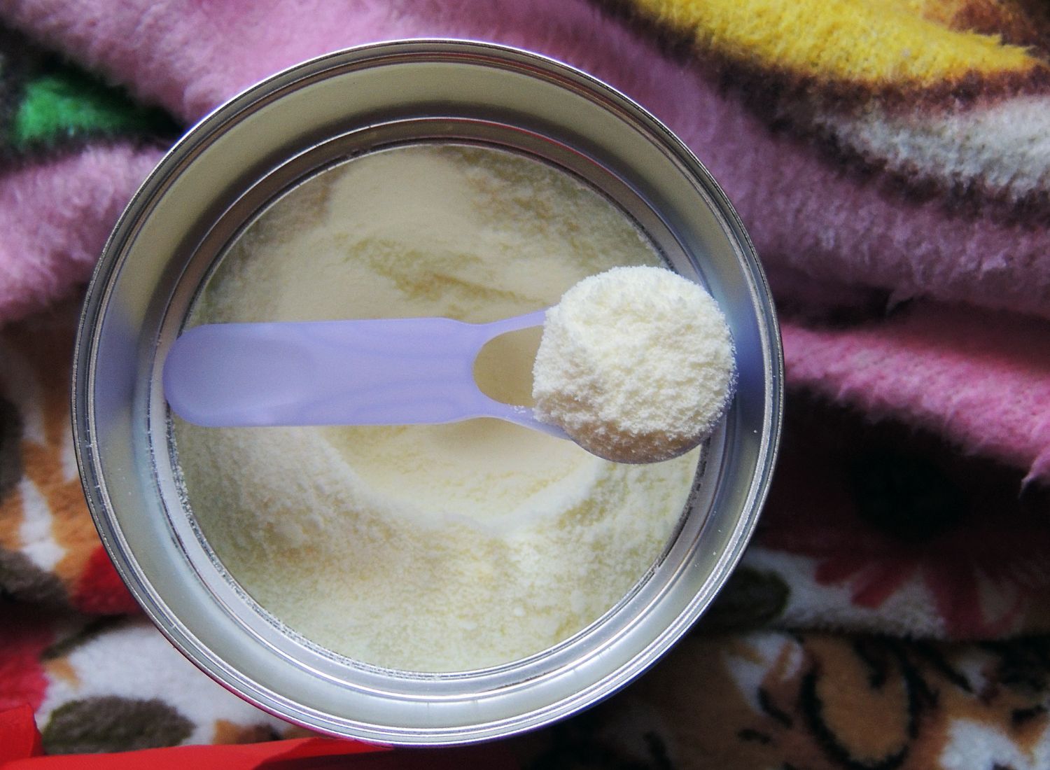 8 Best Coconut Milk Substitutes For Curry That Hit The Spot