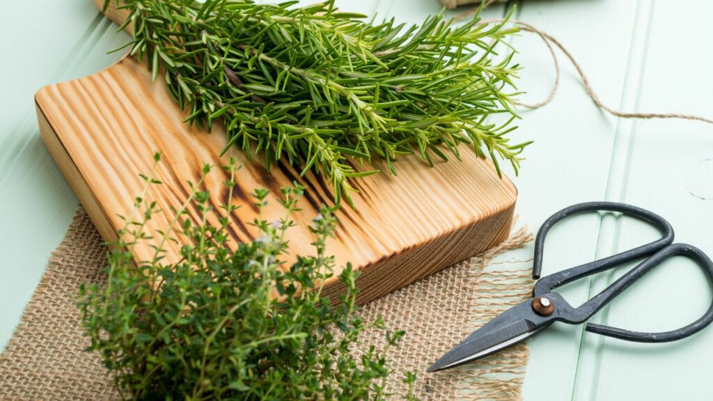 Fresh Thyme and Rosemary