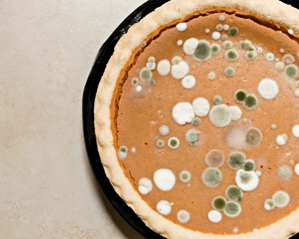 moldy pumpkin pie