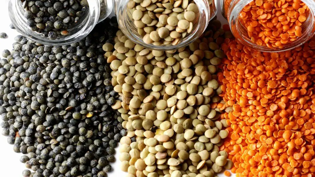 different types of lentils