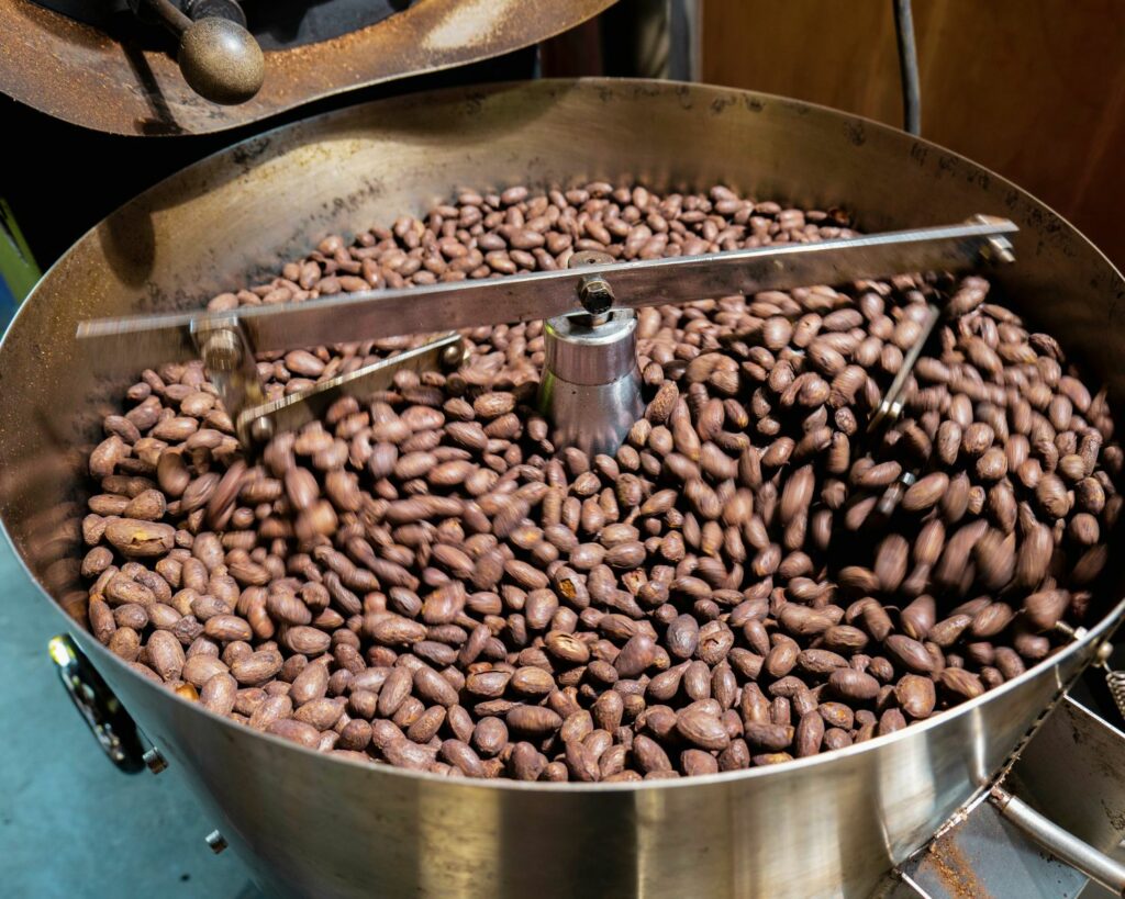 whole roasted cacao beans