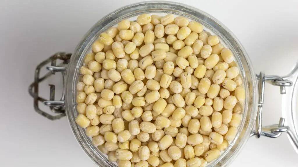 urad dal beans in a glass jar