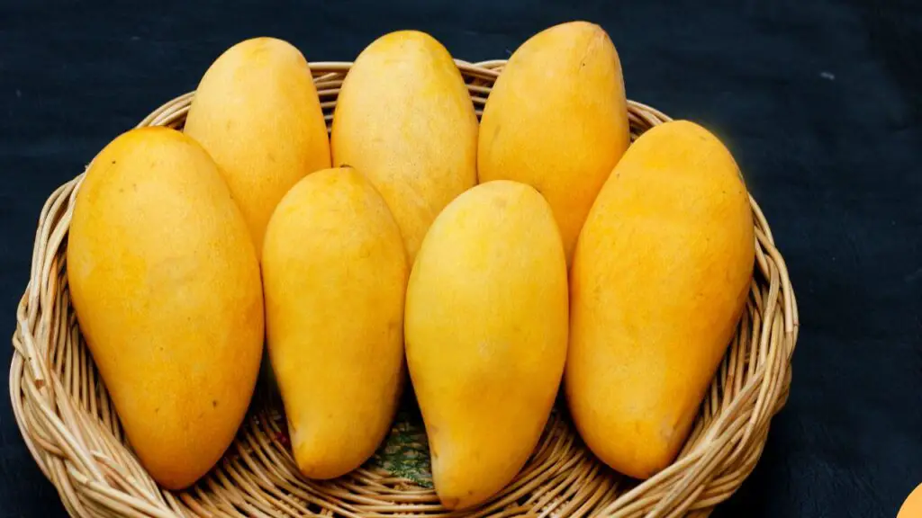 ripe mangoes