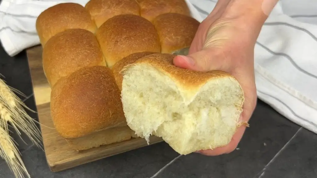 bread machine dinner rolls