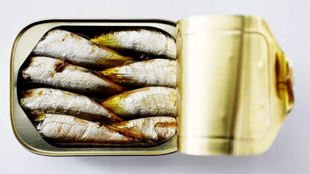 can of sardines