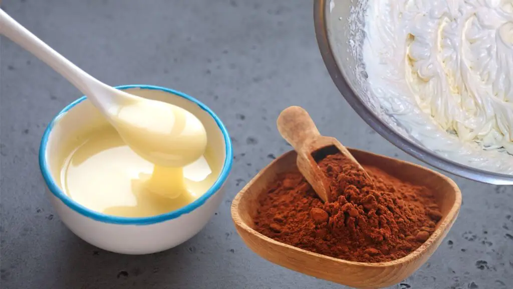 homemade chocolate ice cream ingredients