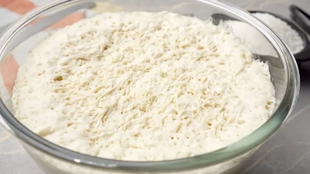 the first rise for homemade bread