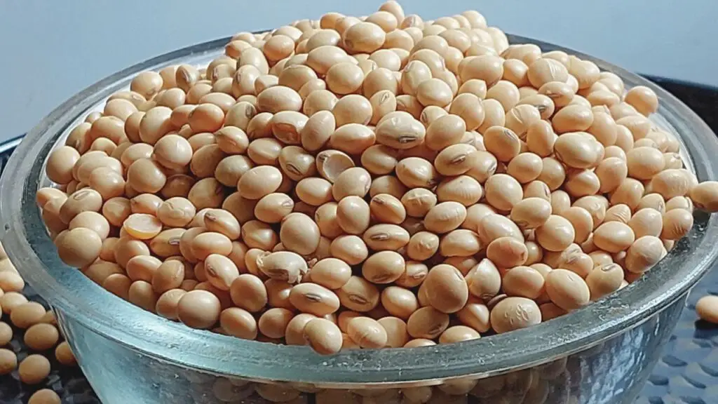 dried lentils