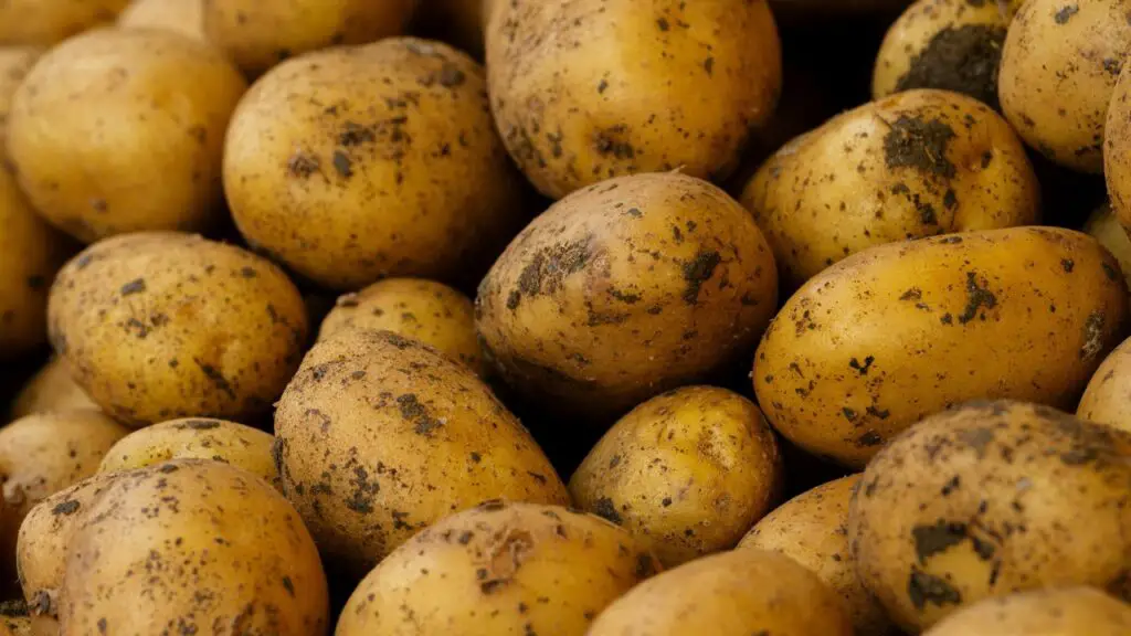 potatoes that are good for baked potatoes