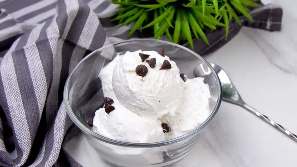 A glass bowl filled with scoops of homemade Greek yogurt ice cream, topped with mini chocolate chips and served with a spoon on the side.