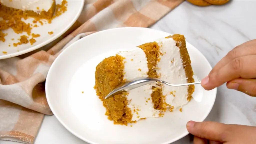 3 layered cheesecake texture