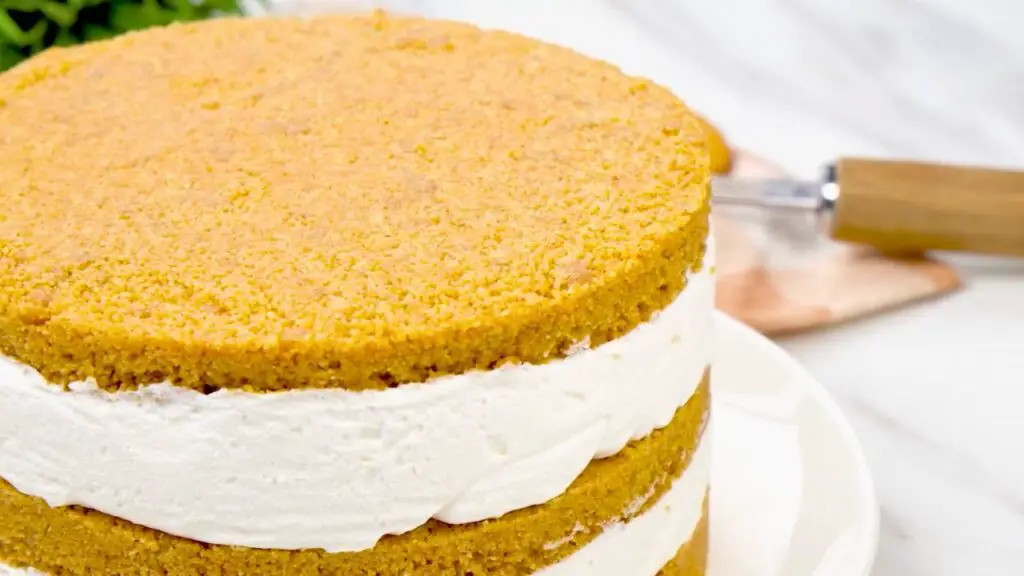 Extra thick cheesecake removed from the springform pan with clean biscuit crust and creamy filling layers.