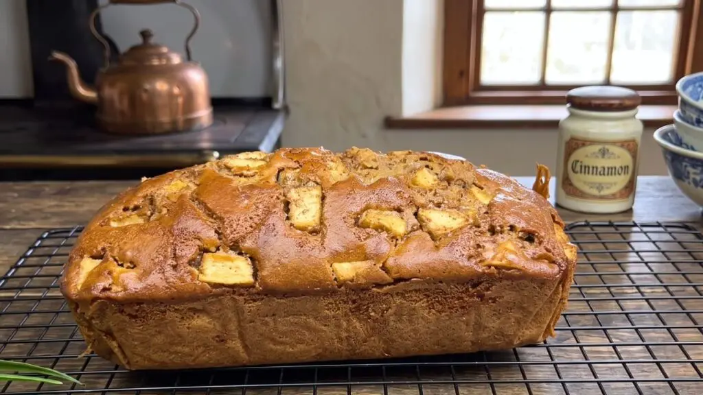 moist apple cinnamon loaf cake