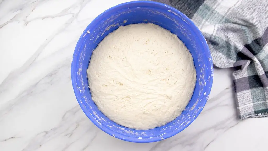 Bread dough that did not rise properly in a blue mixing bowl.